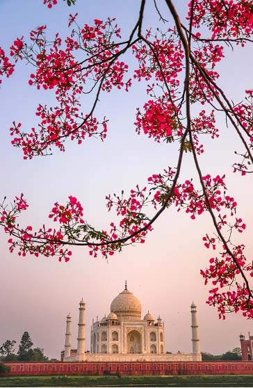 Agra 1